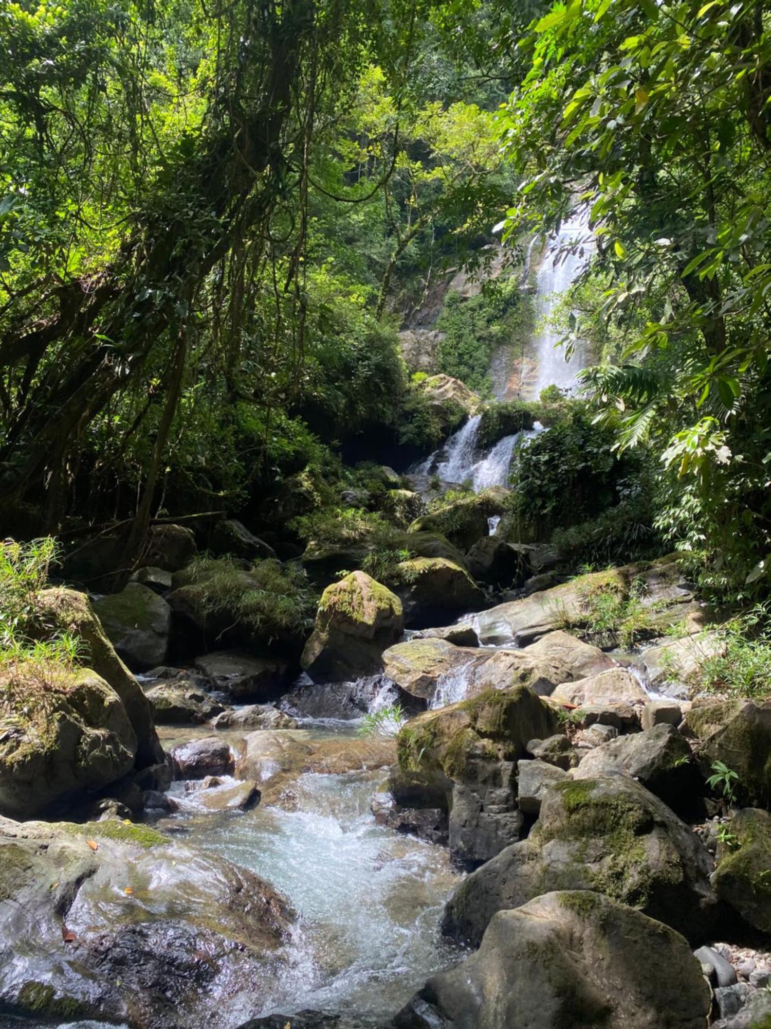 Rainforest Yasmin Hotel Santa Fé Exterior photo