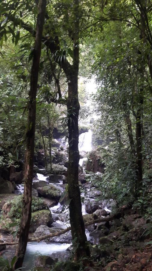 Rainforest Yasmin Hotel Santa Fé Exterior photo